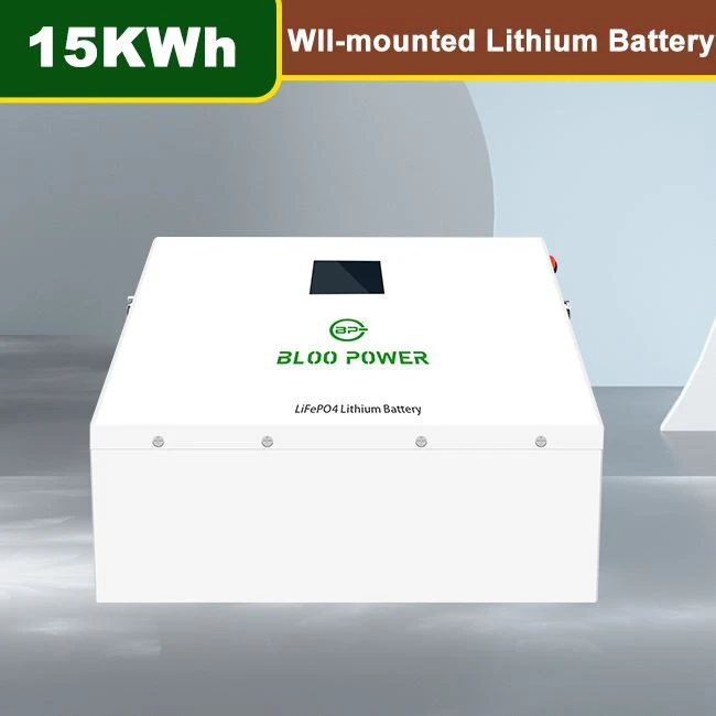 5KWh 10KWh 15KWh Wall Mounted Battery Chargers With BMS Board Technology